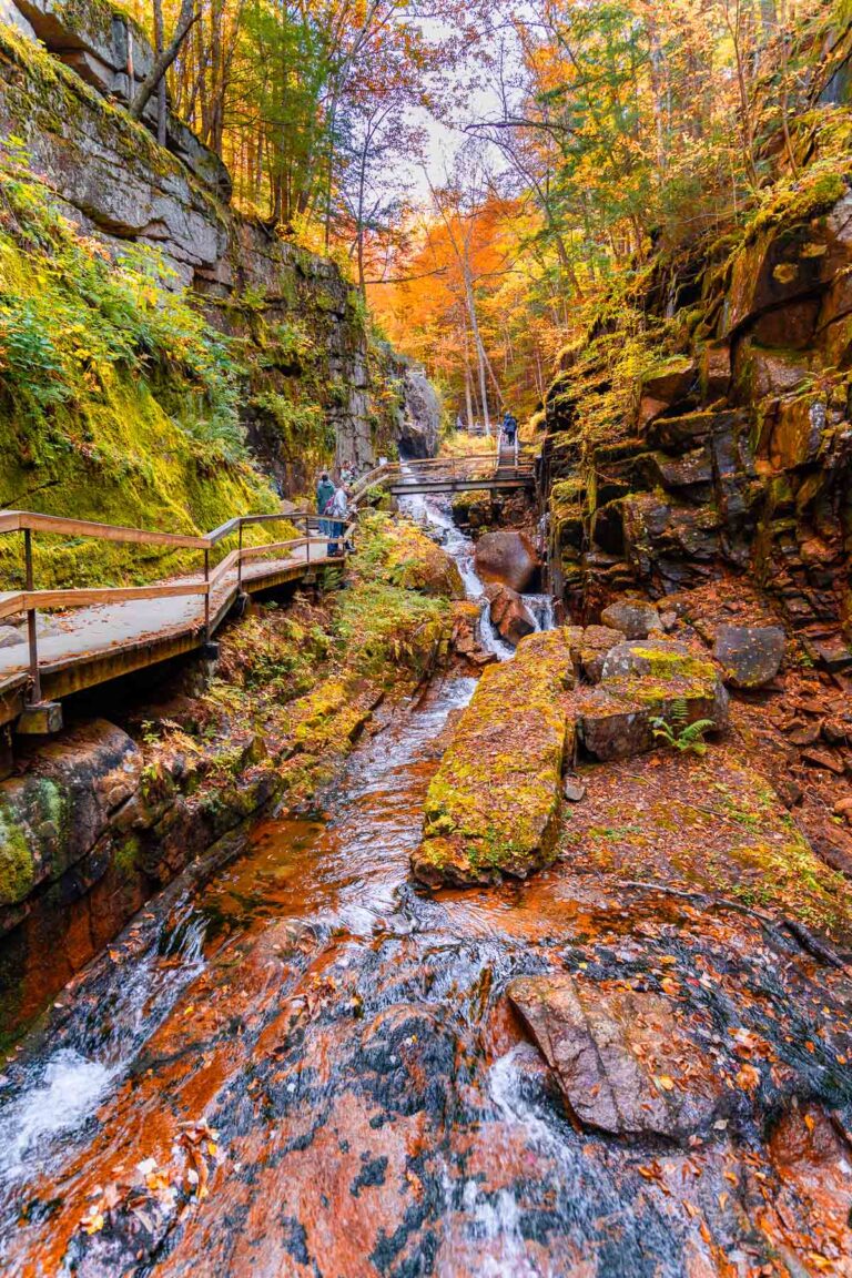 Bright fall colors surround a narrow gorge with a stream and wooden boardwalk at Flume Gorge in New Hampshire, as a few people walk through the scenic area