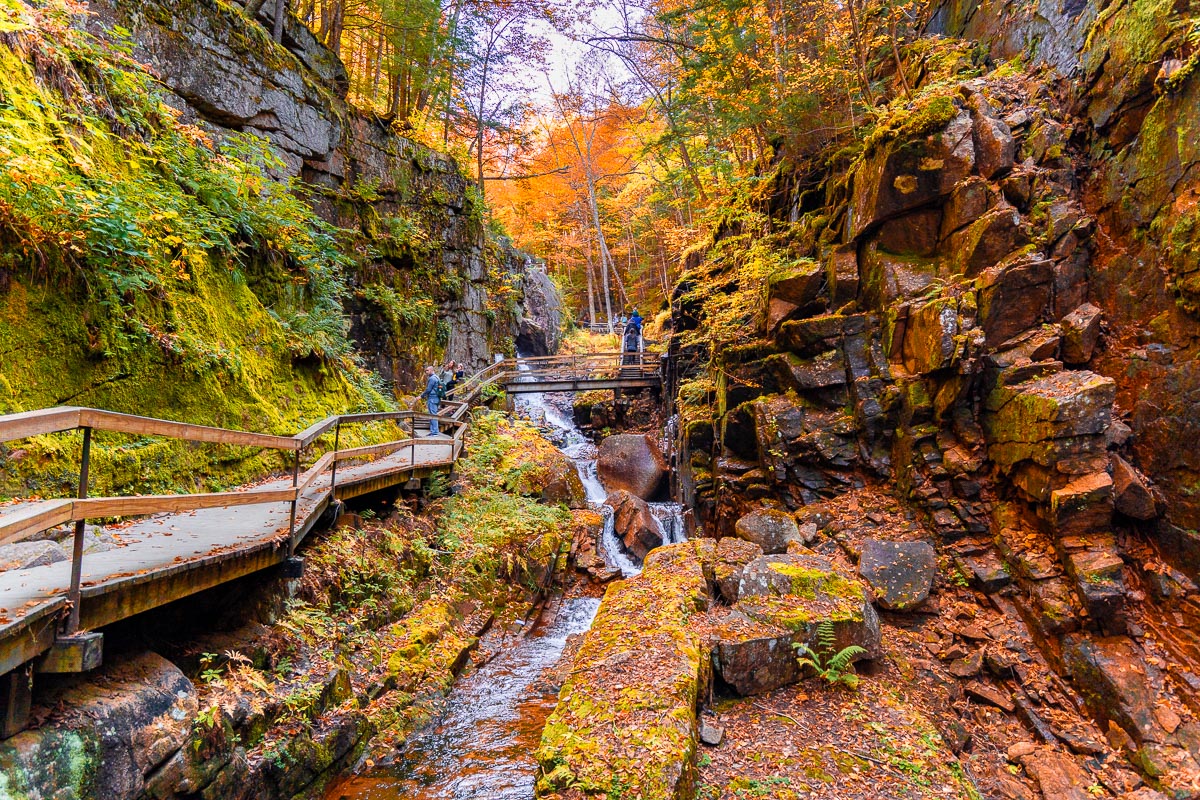 Bright fall colors surround a narrow gorge with a stream and wooden boardwalk at Flume Gorge in New Hampshire, as a few people walk through the scenic area