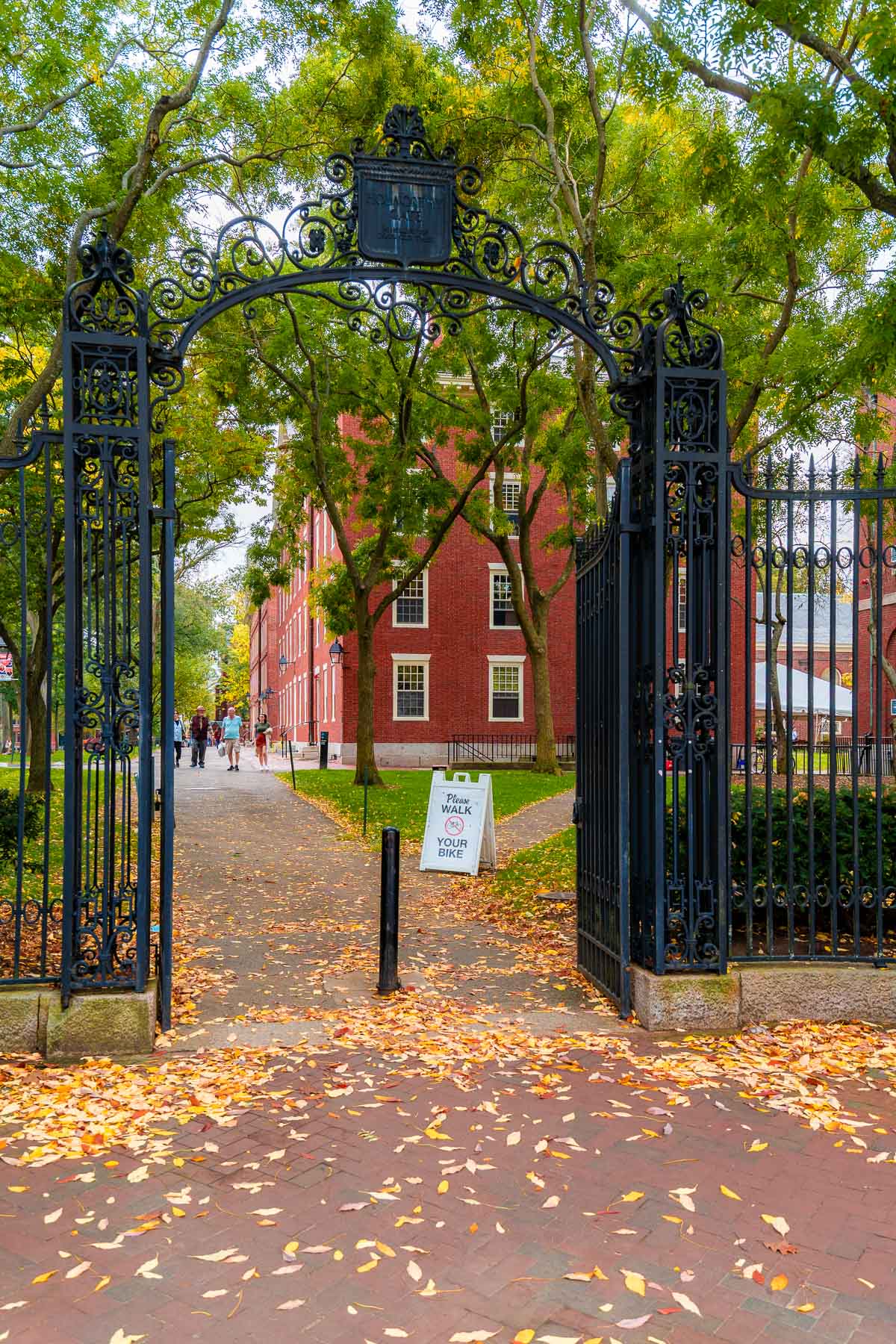A view through the wrought iron gate leading into Harvard Yard, with fallen leaves on the brick path and a sign asking people to walk their bikes.