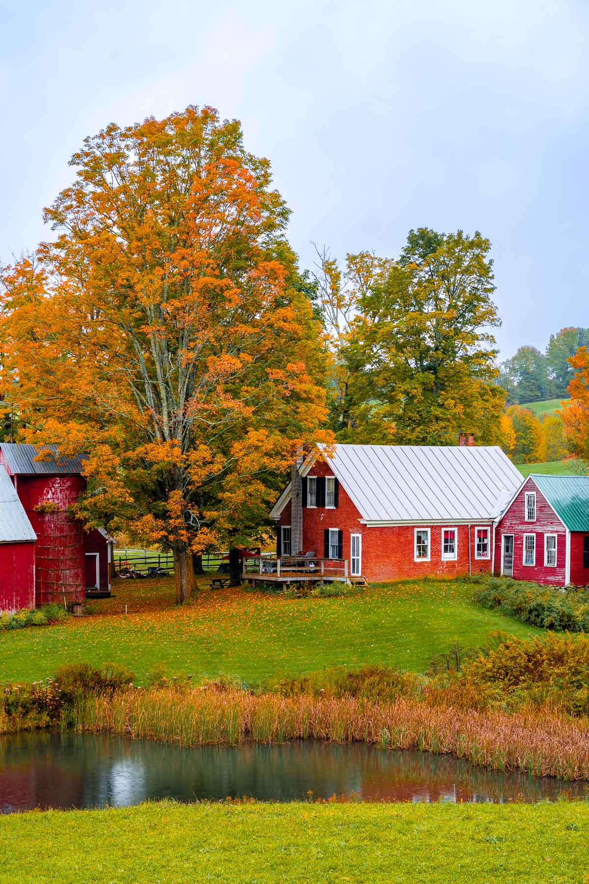 A red farmhouse and barn at Jenne Road Farm in Woodstock, Vermont with an orange-leaved tree and a small pond in front.