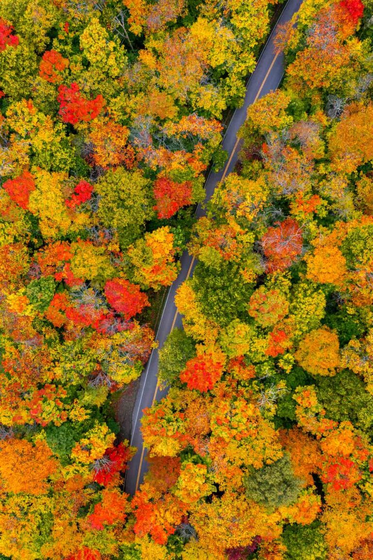 Aerial view of Smuggler’s Notch showing a narrow road cutting through a dense forest of colorful fall trees.