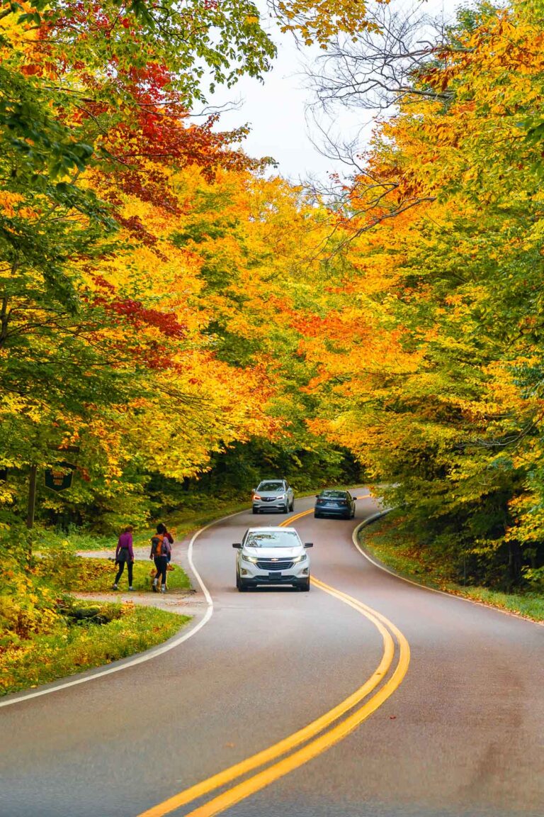 A winding road at Smuggler’s Notch in Vermont with cars and hikers passing through, surrounded by vibrant yellow and orange fall foliage.