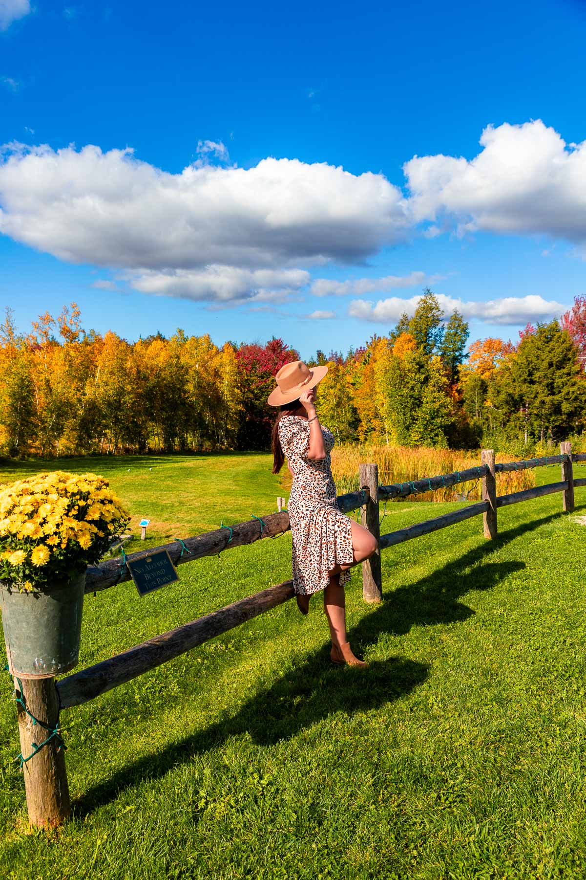 A woman leaning against a wooden fence at Trapp Family Lodge in Vermont, with a bright green lawn and fall trees under a blue sky with puffy clouds.