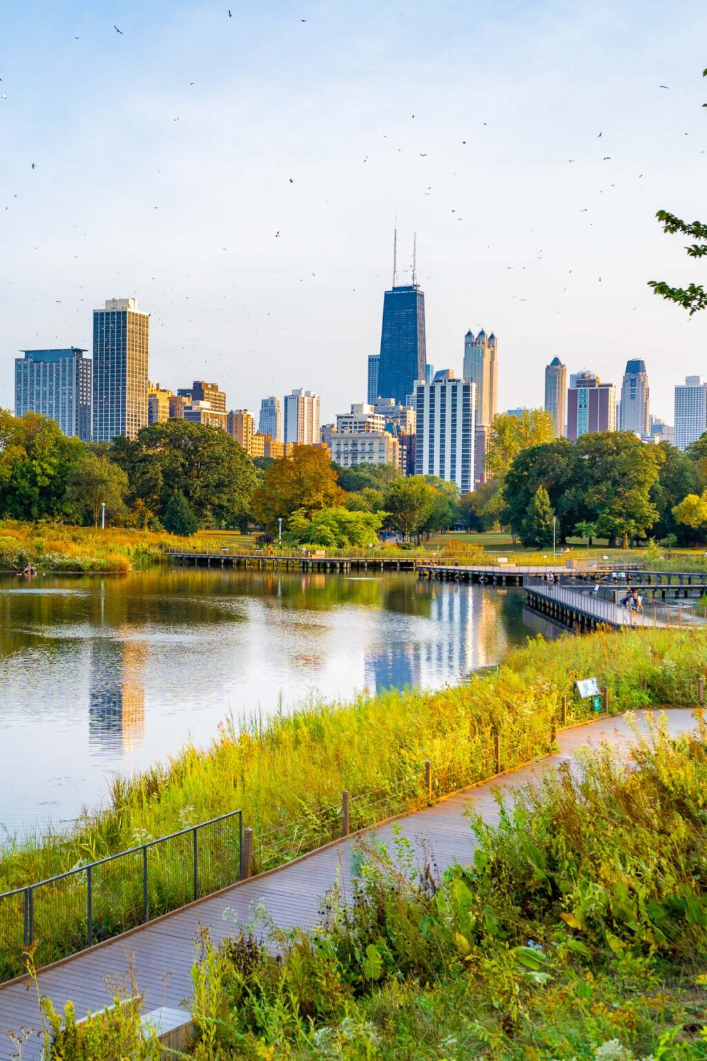 Unique Things To Do In Chicago Suburbs